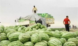 光山网红邱县长吃瓜视频,揭秘光山网红现象