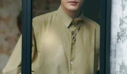 娱乐大爆料徐正溪,娱乐大爆料背后的璀璨星途