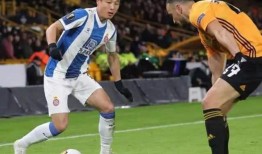 狼队替补爆料视频,幕后英雄的奋斗与牺牲