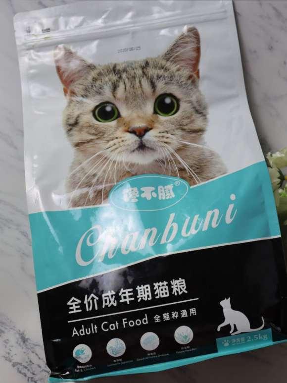 娱乐吃瓜酱收了你的猫粮,宠物界的“网红”效应